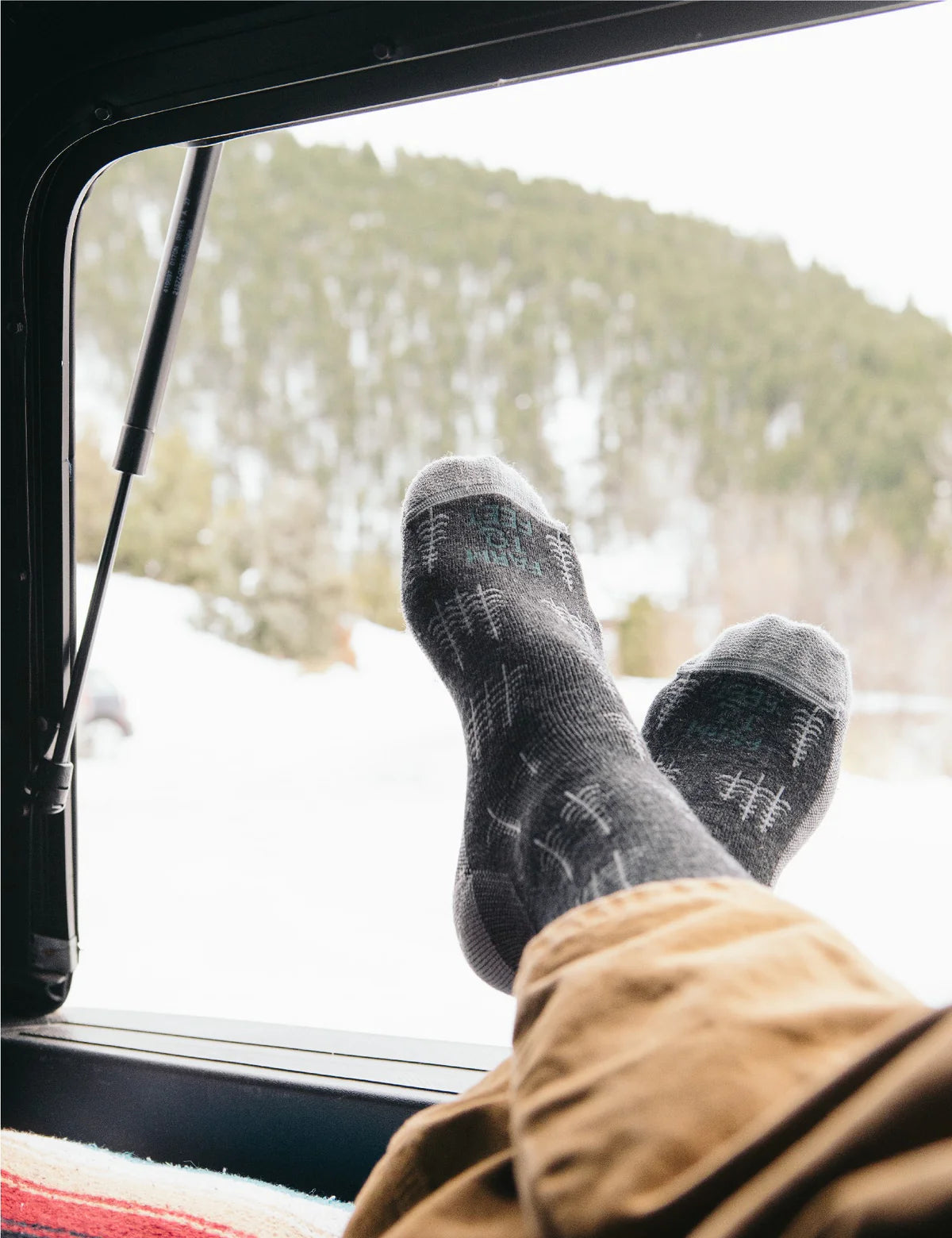 Pine Tree Everyday Full Cushion Medium Weight Crew Sock