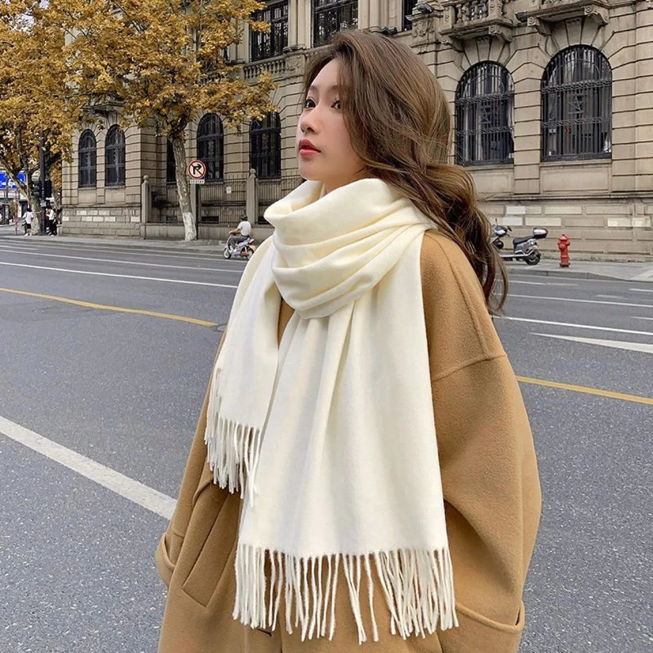 Faux Cashmere Women's Winter Scarf